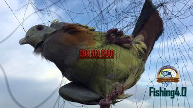 Lưới bẫy chim | lưới bẫy chim tàng hình