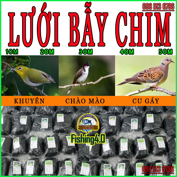 Những Loài chim thuộc họ Cu Cu sinh sống tại Việt Nam - Khám Phá Chim Cảnh  || Đạt Bird TV - YouTube
